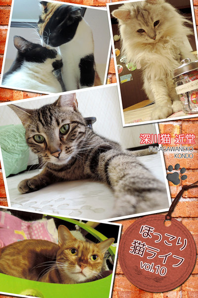 ほっこり猫ライフ vol.10写真集