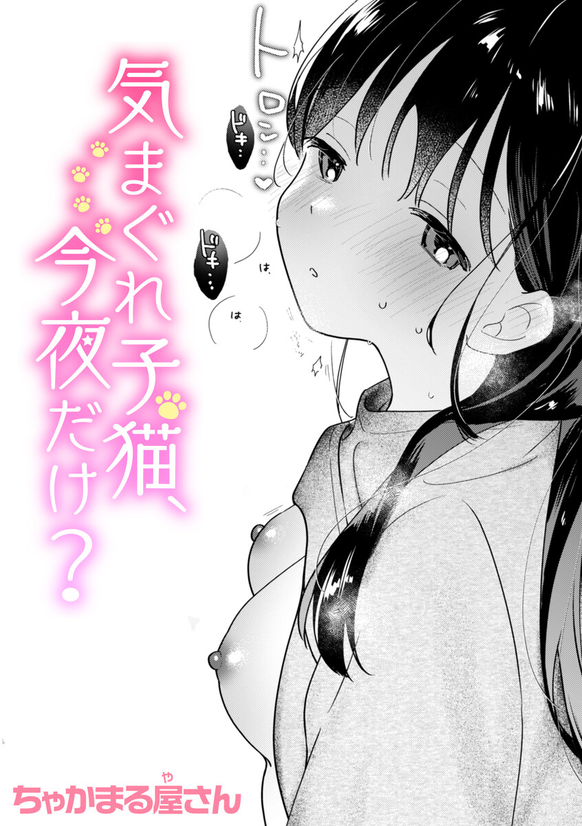 気まぐれ子猫、今夜だけ？