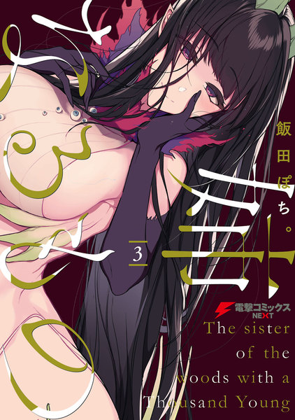 姉なるもの 3巻