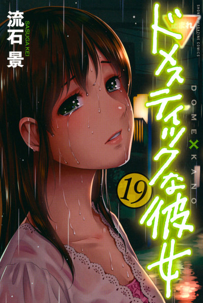 ドメスティックな彼女 19巻 ≪ドメスティックな彼女 19巻の無料試し読み&購入はコチラヽ(○´w`○)ノ≫