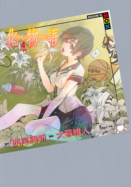 化物語 (4) 特装版 ≪化物語 (4) 特装版の無料試し読み&購入はコチラヽ(○´w`○)ノ≫