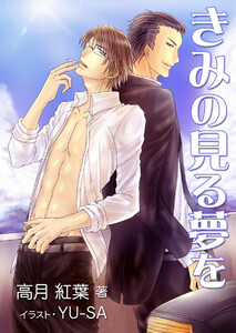 きみの見る夢を 電子書籍版