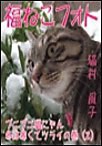 福ねこフォト~プニプニ猫にゃん冬は寒くてツライの巻(2) 電子書籍版