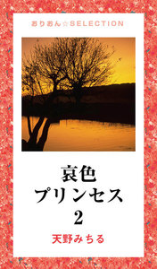 哀色プリンセス2 電子書籍版