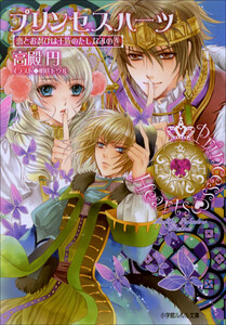 ルルル文庫 プリンセスハーツ4 ～恋とお忍びは王族のたしなみの巻～(イラスト完全版) 電子書籍版