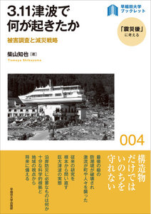 3.11津波で何が起きたか:被害調査と減災戦略 電子書籍版
