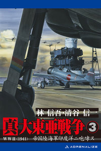 真・大東亜戦争(3)