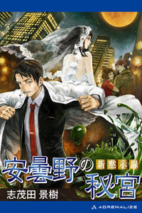 新黙示録 安曇野の秘宮 電子書籍版