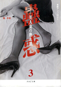 イスタンブール 蟲惑3 電子書籍版