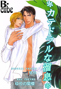 カテドラルな溜息 ～「カテドラルな恋」番外編～ 電子書籍版