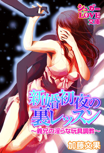 新婚初夜の裏レッスン~義兄の淫らな玩具調教~