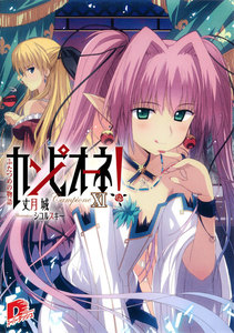 カンピオーネ! XI ふたつめの物語 電子書籍版