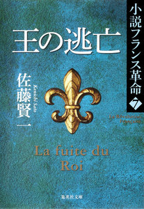 王の逃亡 小説フランス革命 7 電子書籍版