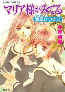 マリア様がみてる14 涼風さつさつ 電子書籍版