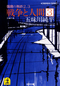 戦争と人間 3～髑髏(どくろ)の舞踏2、3～ 電子書籍版