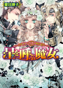 カーデュエイル物語2 星を呼ぶ魔女 電子書籍版