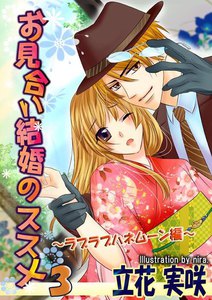 お見合い結婚のススメ3 ～ラブラブハネムーン編～ 電子書籍版
