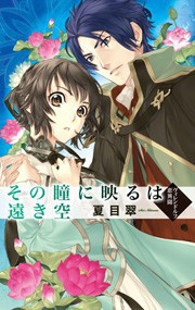 その瞳に映るは遠き空 - ヴィレンドルフ恋異聞 電子書籍版