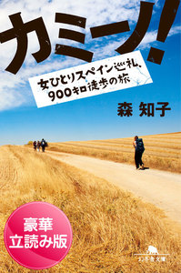 カミーノ! 女ひとりスペイン巡礼、900キロ徒歩の旅