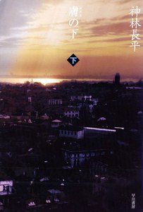 膚の下(下) 電子書籍版