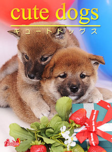 cute dogs05 柴犬 電子書籍版