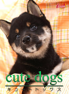 cute dogs07 柴犬 電子書籍版