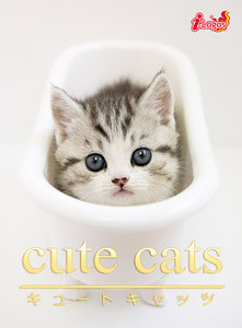 cute cats07 マンチカン 電子書籍版