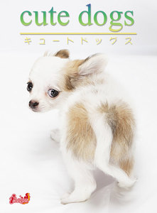 cute dogs12 チワワ 電子書籍版