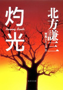 灼光 神尾シリーズ2 電子書籍版