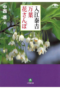 入江泰吉 万葉花さんぽ(小学館文庫)