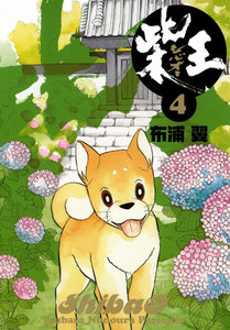 柴王(4) 電子書籍版