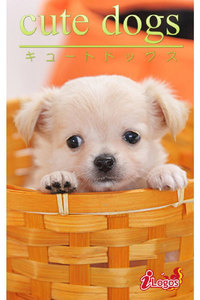 cute dogs16 チワワ 電子書籍版