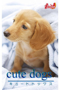 cute dogs23 ダックスフンド 電子書籍版