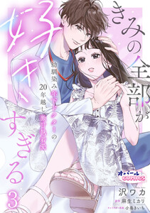 きみの全部が好きすぎる 幼馴染み年下ドクターの20年越し激甘執着愛3 電子書籍版