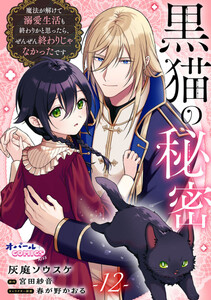 黒猫の秘密～魔法が解けて溺愛生活も終わりかと思ったら、ぜんぜん終わりじゃなかったです～12
