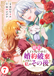 婚約していないのに婚約破棄された私のその後 7