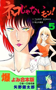 ネコじゃないモン!【合本版】 (5) 電子書籍版