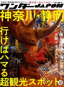 ワンダーJAPON(12)～日本で唯一の「異空間」旅行マガジン!～