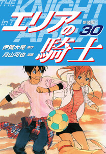 エリアの騎士(新装版) (30) 電子書籍版