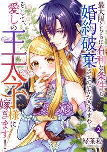 最大限こちらに有利な条件で婚約破棄させていただきますわ!そして、愛しの王太子様に嫁ぎます! 2巻 電子書籍版
