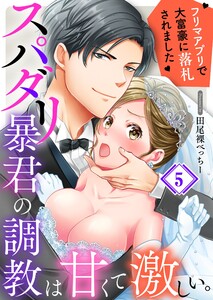スパダリ暴君の調教は甘くて激しい。~ フリマアプリで大富豪に落●されました