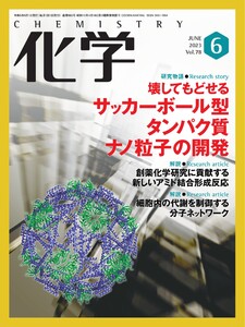 化学 2023年6月号「〔解説〕光を99.98%以上吸収する至高の暗黒シート 」抜粋版 ライト版 電子書籍版