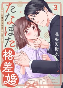 たなぼた格差婚～偽物の私がくれた本物の恋愛(3) 電子書籍版