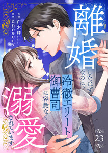 離婚したはずなのに、冷徹エリート御曹司に容赦なく溺愛されています (23)