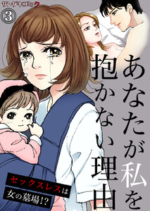 あなたが私を抱かない理由～セックスレスは女の墓場!? (3) 電子書籍版