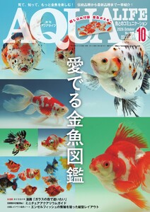 アクアライフ 2026年10月号