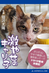 激やせのキャリ子 電子書籍版