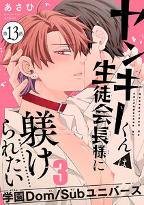 ヤンキーくんは生徒会長様に躾けられたい #13