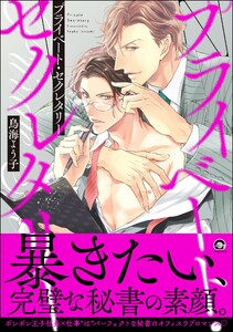 プライベート・セクレタリー【再編集版】 【電子限定かきおろし漫画付】 電子書籍版