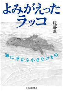 よみがえったラッコ 海に浮かぶ小さなけもの
